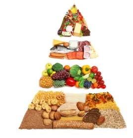 Maintain balanced diet